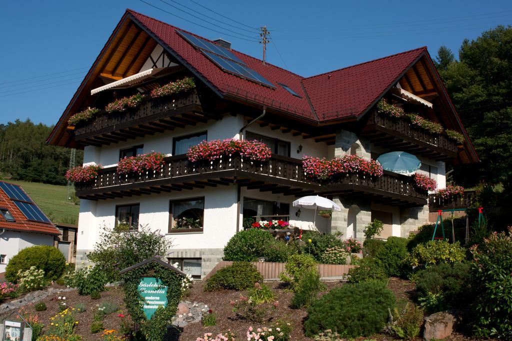 Gaestehaus Cornelia Wildensee Exteriör bild